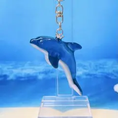 イルカの立体キーホルダー