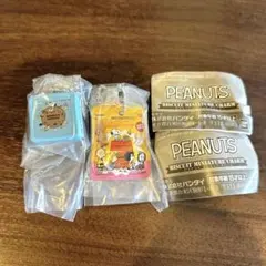 スヌーピービスケットミニチュアチャーム PEANUTS ミニチュアキーホルダー
