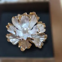 Item thumbnail for item 986272dc-bbed-49cf-bd4e-e32ce541f06a