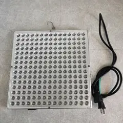 植物育成ライト