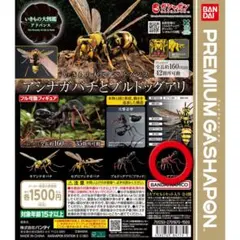 ブルドッグアリ(レッド) いきもの大図鑑アドバンス