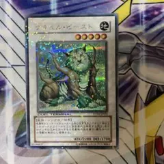 2025年最新】ナチュルビースト シークレットの人気アイテム