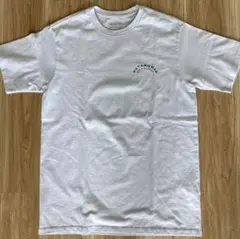 Patagonia（パタゴニア）ハワイ限定（ホノルル）Tシャツ XSサイズ