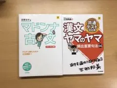 マドンナ古文 漢文ヤマのヤマ