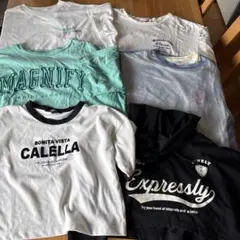 夏物大セール！まとめ売りTシャツ、パーカー