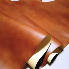 Item thumbnail for item 7094ecfc-8210-4225-8137-fcb4424faaa4