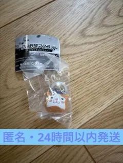 プロ野球マスコット めじるしアクセサリー スターマン 横浜ベイスターズ