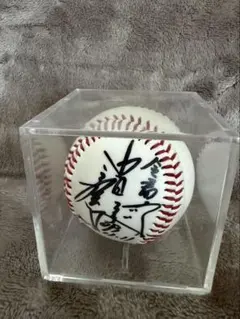 2026年最新】立浪 サインの人気アイテム - メルカリ