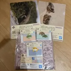 一番くじ 爬虫類・両生類 vol.3 J賞 メモパッド コンプリートセット