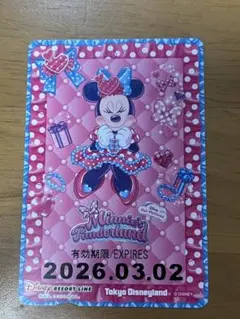 ミニーのファンダーランド　パルパルーザ　リゾートライン　フリーきっぷ　１枚