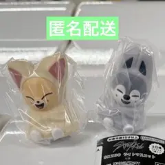 SKZOO ライトマスコット ウルフチャン フォクシニー