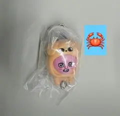 SKZOO つまんでつなげてますこっと 2　チャンビン　ガチャ