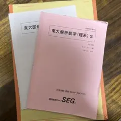 SEG 東大図形数学H、東大解析数学H - メルカリ
