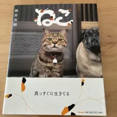 岩合光昭 写真集 ねこ 真っすぐに生きてる