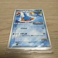 2025年最新】ミズゴロウのスプラッシュアドベンチャーの人気