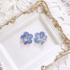 046 ネモフィラ×紫陽花 ピアス/イヤリング