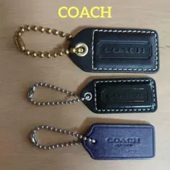 Item thumbnail for item e54f2f99-4651-4a80-9a0b-70528349934e