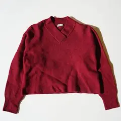 steven alan バーガンディ Vネックニット