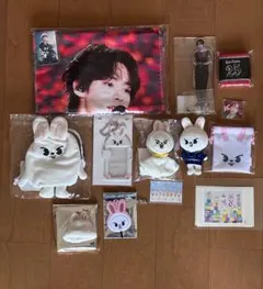 Stray Kids リノ まとめ売り