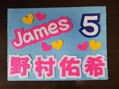 野球応援ボード　ファイターズ　野村佑希　選手