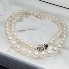 Item thumbnail for item 82051b89-b0bd-4a2f-96f9-e5ef60958742