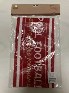 リバプールLFC プレシーズンツアー2025 タオルハンカチ 2枚セット
