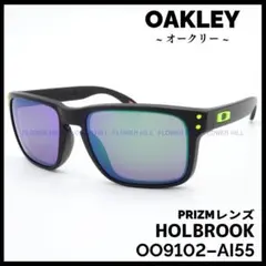 オークリー サングラス HOLBROOK OO9102-AI プリズムレンズ