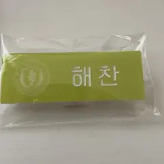 SWTOWN2025 NCT127 ヘチャン　ネームバッジ