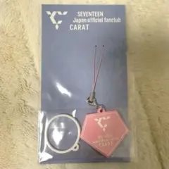 Item thumbnail for item ca492531-bb85-4973-9694-3a7feb3346ed