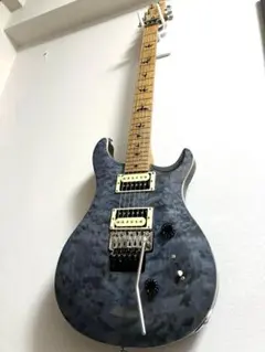2025年最新】prs se roastedの人気アイテム - メルカリ