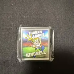 マスコットフレームマグネット 湘南ベルマーレ