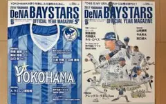 Item thumbnail for item 7be48429-b618-410a-acb9-043f4dee82c3