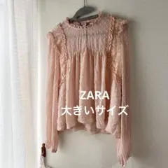 ZARA Trafaluc Collection 刺繍シアーブ ラウスピンクのサムネイル