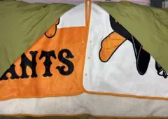 Item thumbnail for item 13e65b0d-a1e0-456a-a89a-6180fd0d5f28