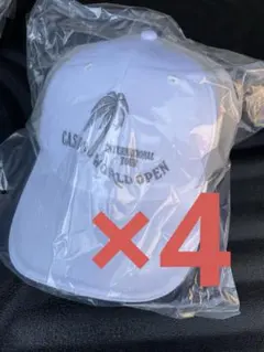 Item thumbnail for item 3c5311ab-a629-4850-8dea-86d89dc106fb