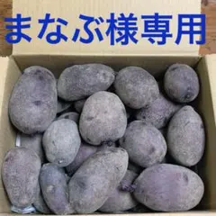 ジャガイモ　俵マゼラン　まなぶ様専用✳️