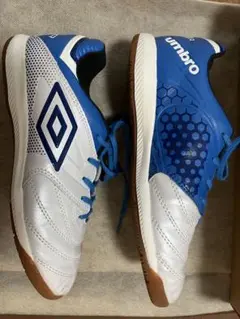 Item thumbnail for item 00a13ef2-587d-4696-9728-a1c10a6814a8