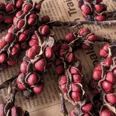 木の実 インテリア