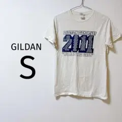 8 GILDAN Lakeview Elementary Tシャツ S 古着
