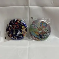 ディズニー　ランド 30周年　缶バッジ　ハピネスイズヒア