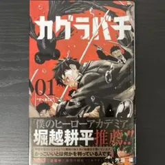 全巻初版　1巻初版帯付き 全巻初版、帯付き】1日外出録ハンチョウ 1-21巻セット - メルカリ