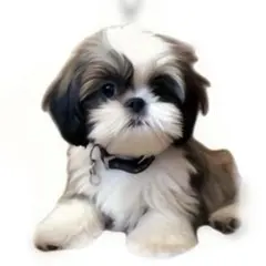 Item thumbnail for item c6db7f43-fbb6-4a85-baec-99d2b68543c8