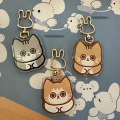 Stray Kids リノ アクリルキーホルダー マスター リービット