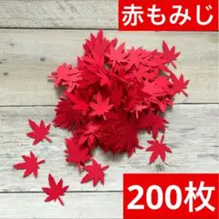 壁面 幼稚園 保育園 秋 冬 紅葉 もみじ クラフトパンチ クラフトペーパー 花