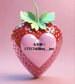 もち(プロフ必読m(_ _)m)様専用