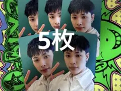 ハル　5枚