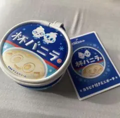 杯バニラ　ポケモンセンター　バニラアイス　カラビナ　ピカピカマート