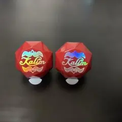 ツイステ カリム リングライト2個