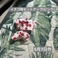 いつぬいサイズぬい服 (ハンドメイド)イチゴ柄のサムネイル