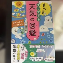 空のふしぎがすべてわかる！　もっとすごすぎる天気の図鑑